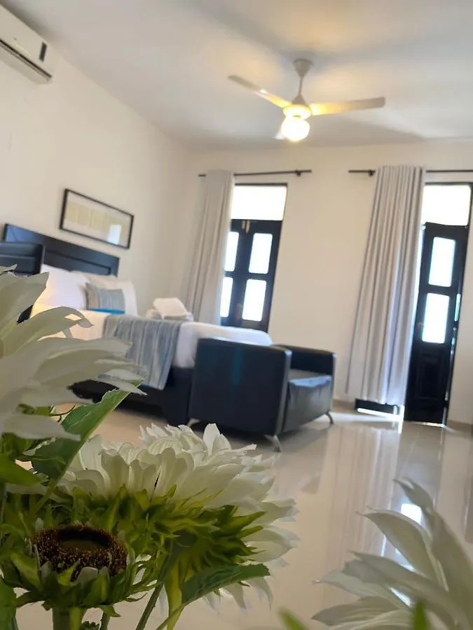 Rig Casa Conde 호텔 산토도밍고
